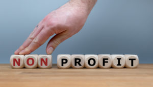 featured non profit business plan