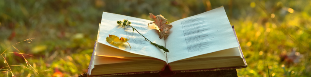 figurative language poem book