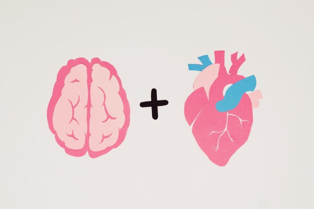 pink and blue brain and heart illustration