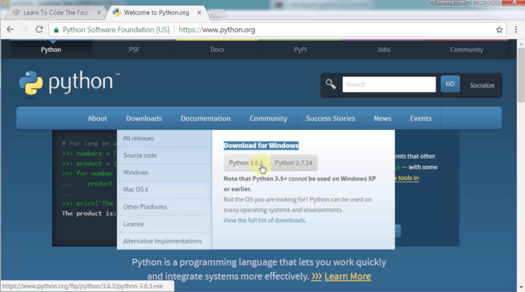 screenshot of the course python programming