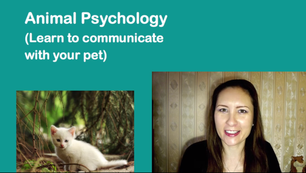 Screenshot of Introduction To Animal Psychology: Pet Behavior Course