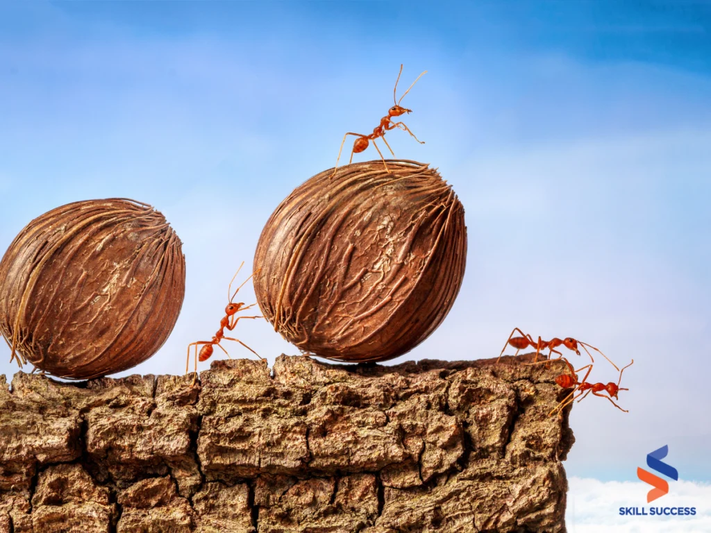 ants having team collaboration