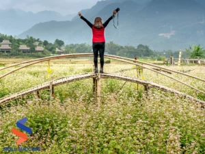 A woman stands on a bridge in a field, arms raised, symbolizing personal growth and empowerment in nature