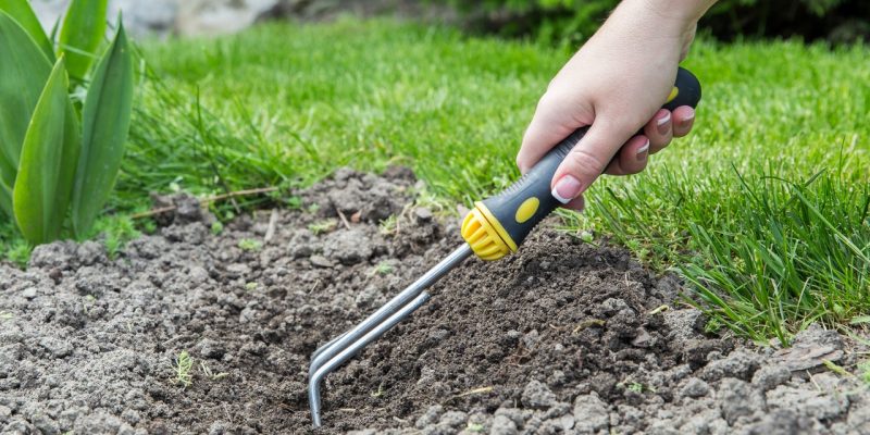 person tilling soil and keeping a lush lawn person using a garden rake to till lawn