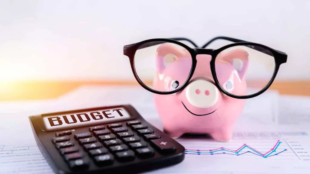 Financial Mistake Budget Calculator Piggy Bank Glasses