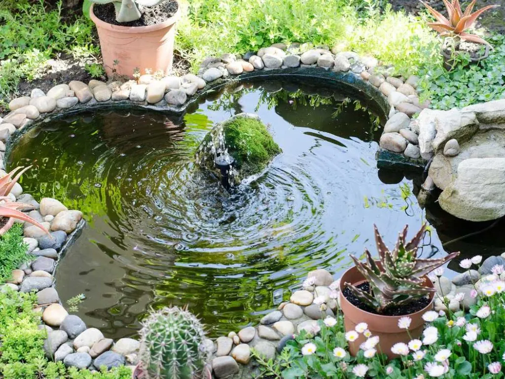 zen water garden pond