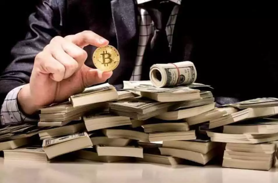 person holding bitcoin and stacks of money