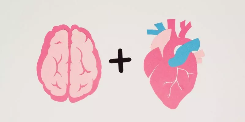 pink and blue brain and heart illustration